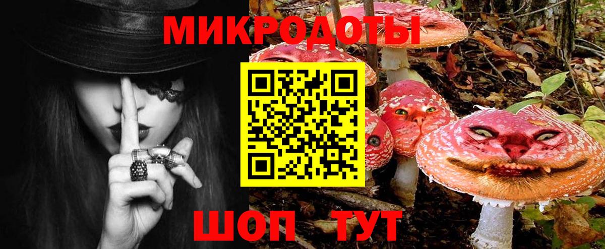 Псилоцибиновые грибы Psilocybe  Псилоцибиновые грибы Psilocybe  купить наркотики сайты  Вход с VPN  Долгопрудный 